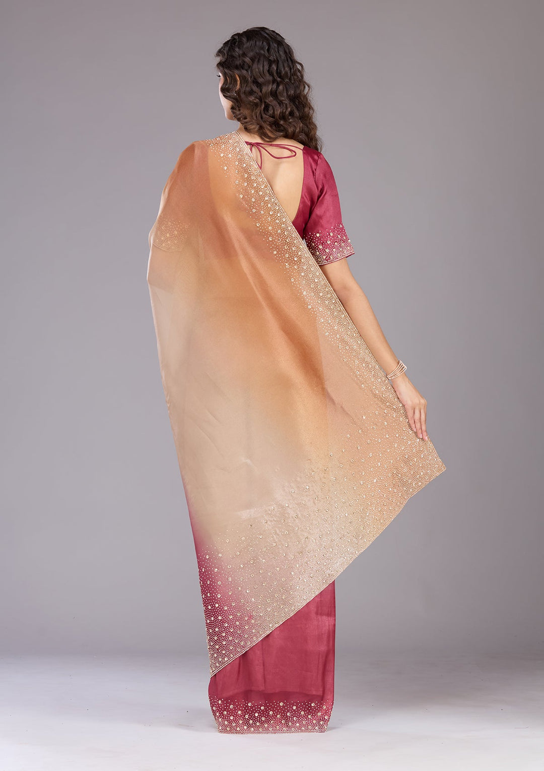 Gold Stonework (Gold) Tissue Saree