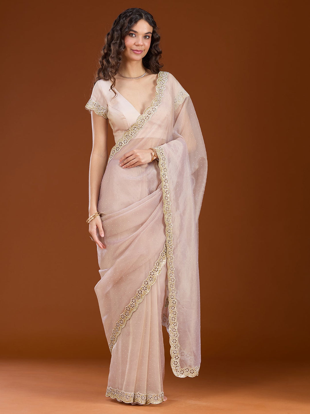 Beige Cutdana Tissue Saree
