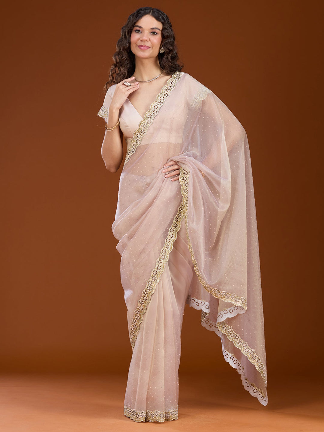 Beige Cutdana Tissue Saree