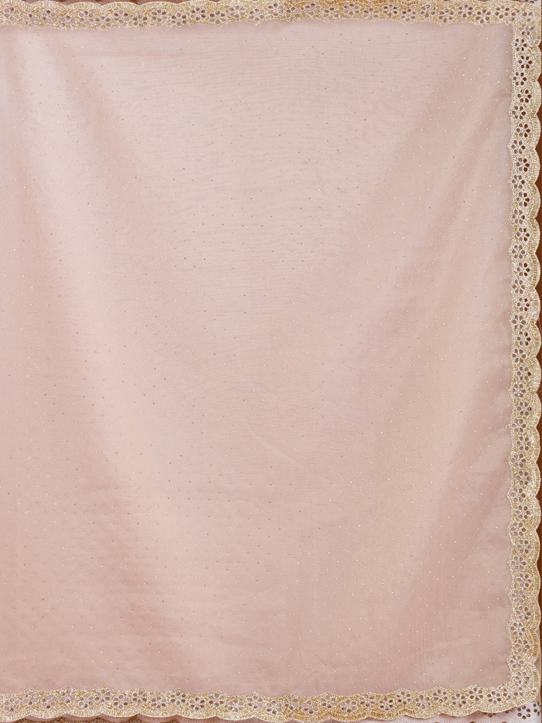 Beige Cutdana Tissue Saree