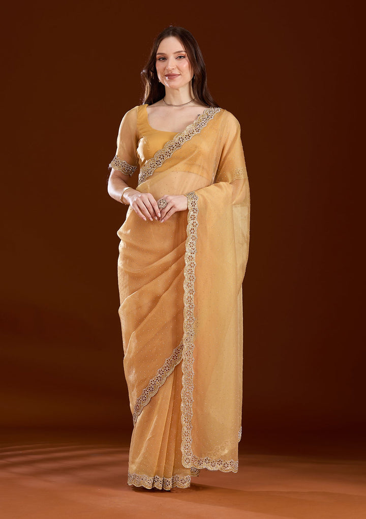 Gold Cutdana Tissue Saree