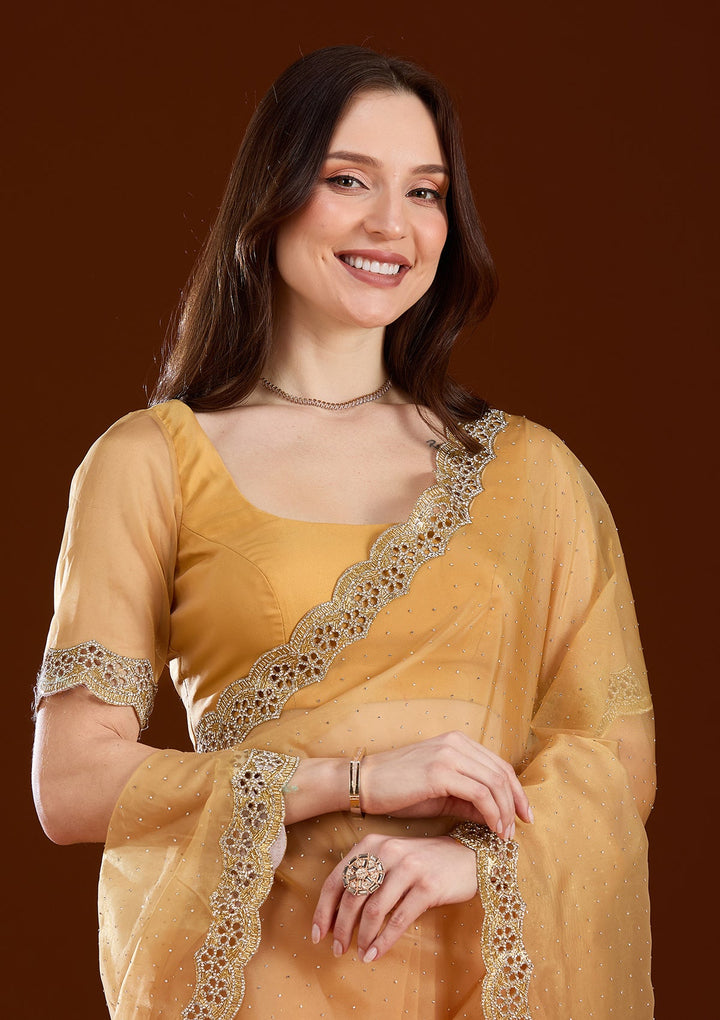 Gold Cutdana Tissue Saree