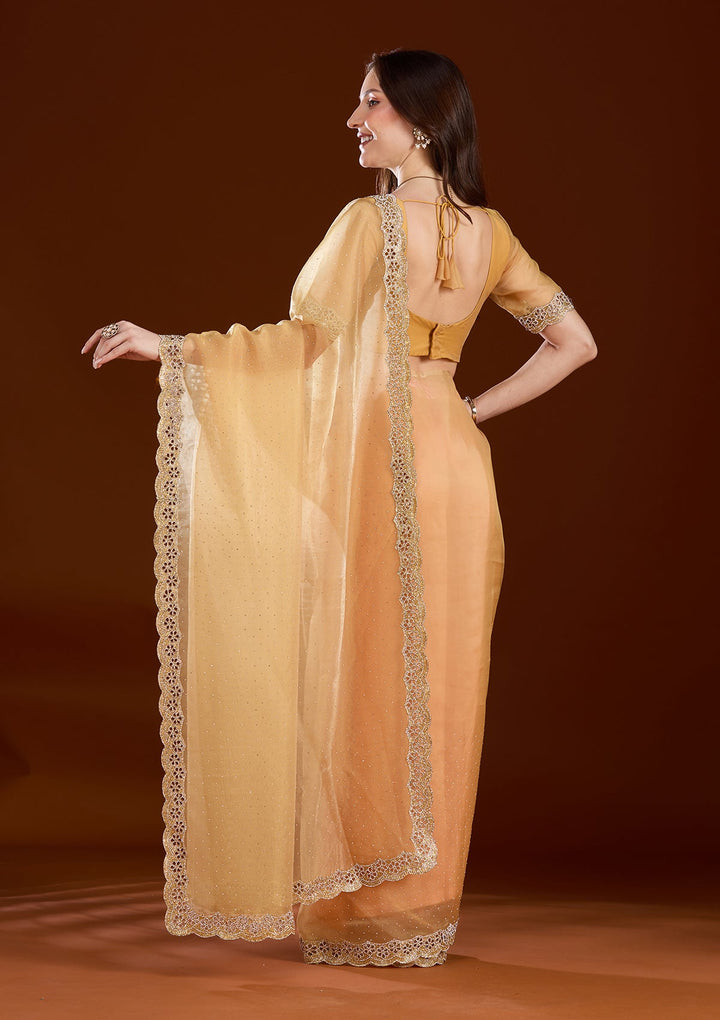 Gold Cutdana Tissue Saree