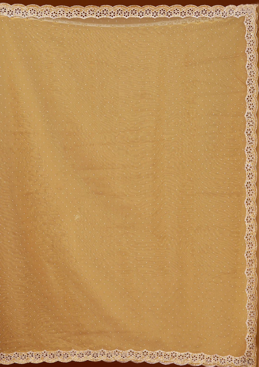 Gold Cutdana Tissue Saree