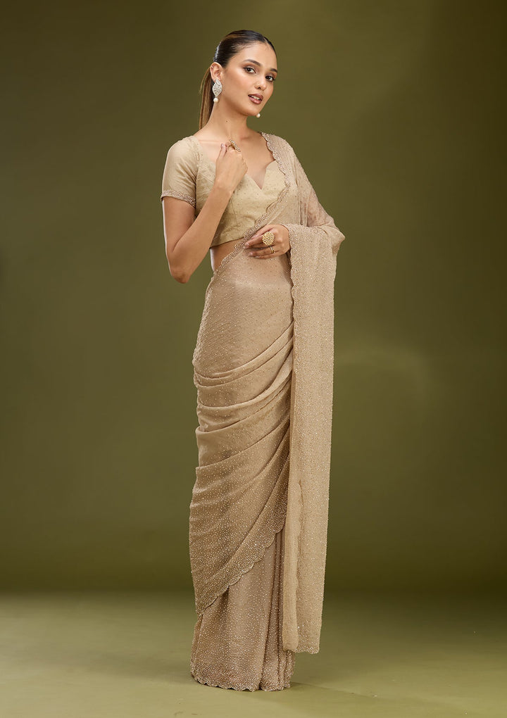 Grey Stonework (Gold) Tissue Saree