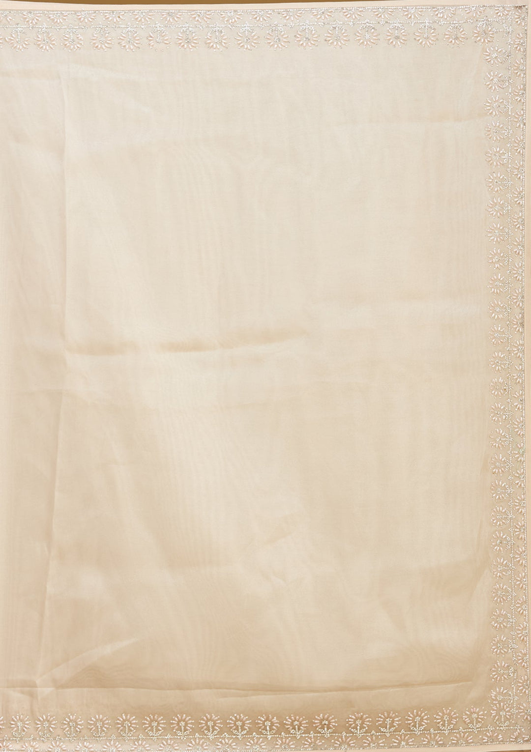 Beige Pearlwork Tissue Saree