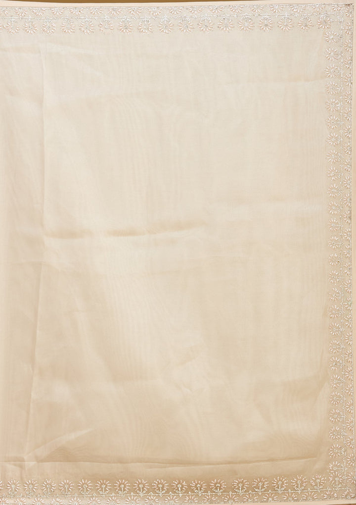 Beige Pearlwork Tissue Saree