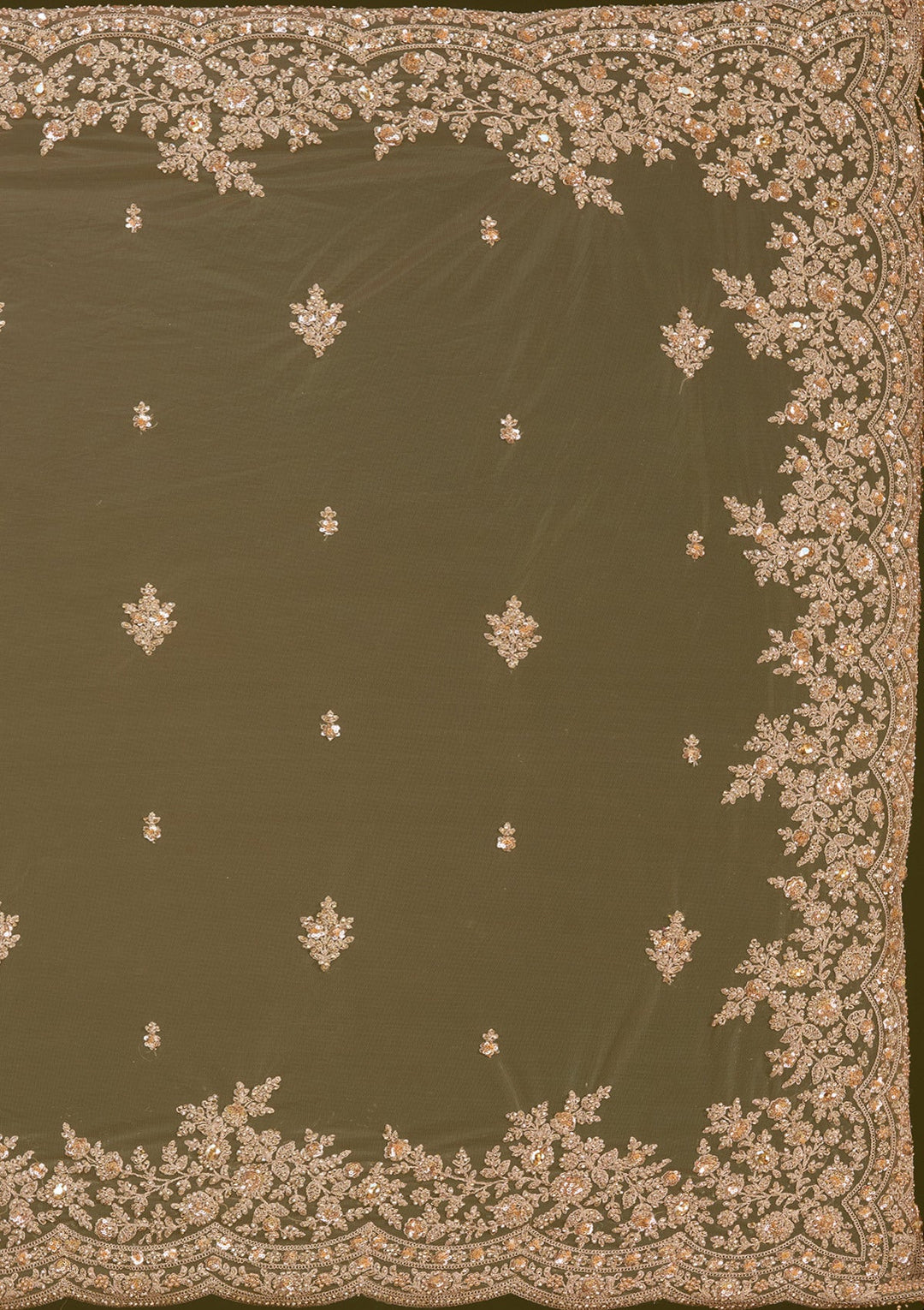 Beige Zariwork (Gold) Net Saree