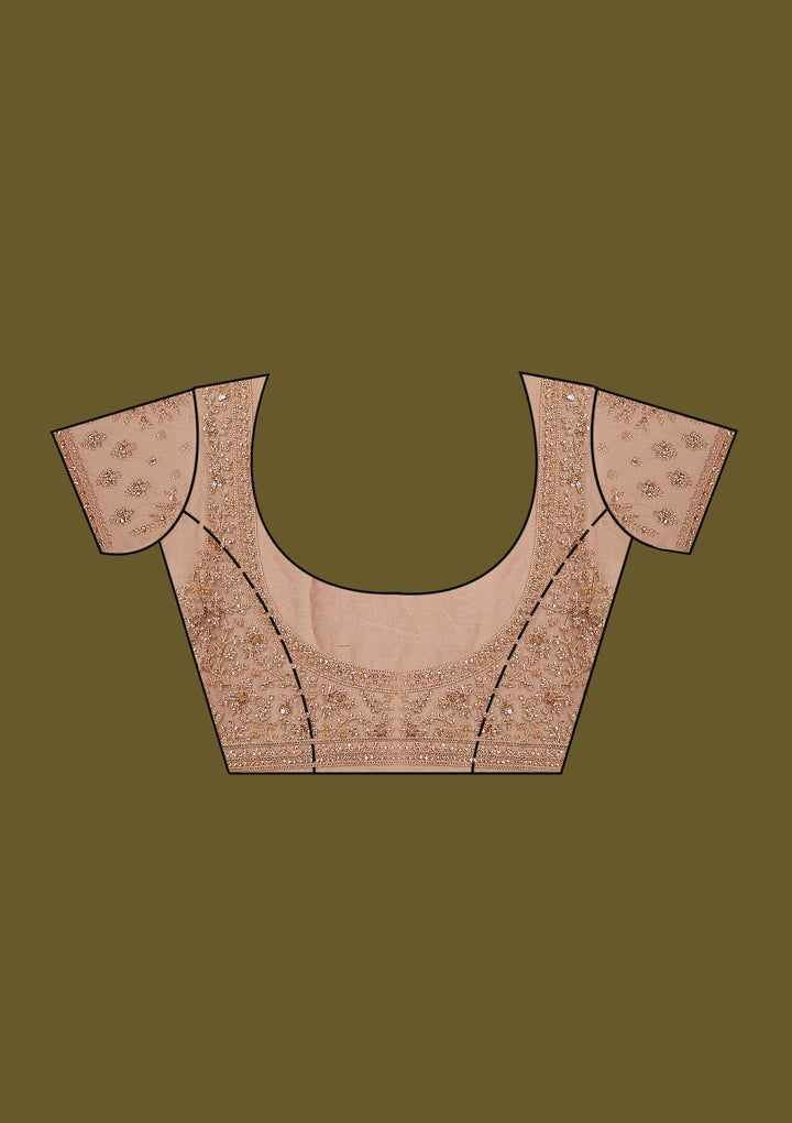 Beige Zariwork (Gold) Net Saree