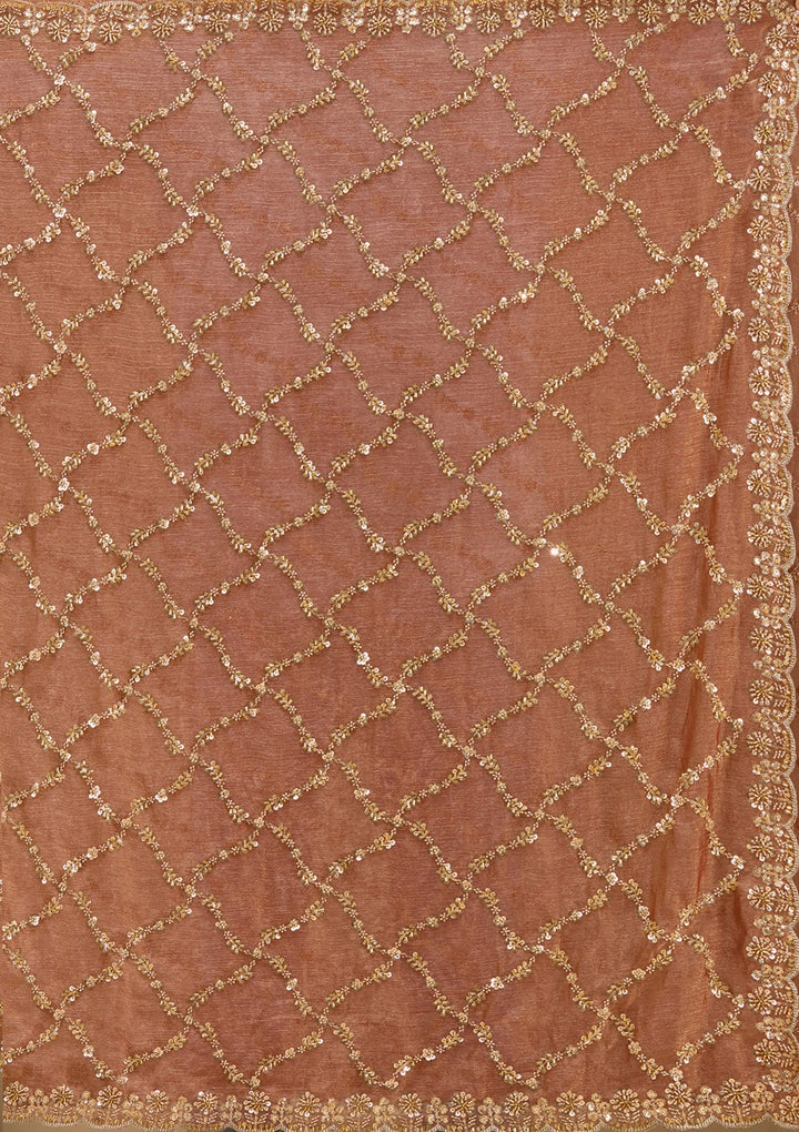 Peach Cutdana Tissue Saree