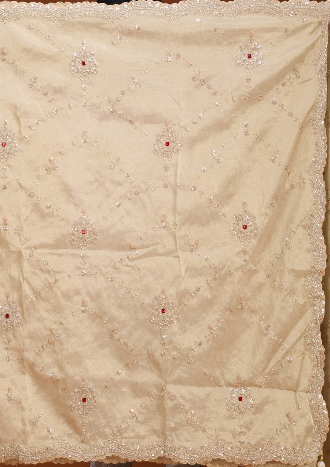 Beige Sequins Tissue Saree