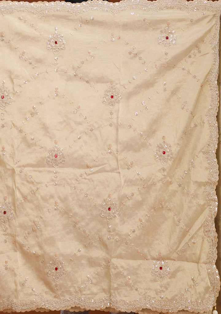 Beige Sequins Tissue Saree