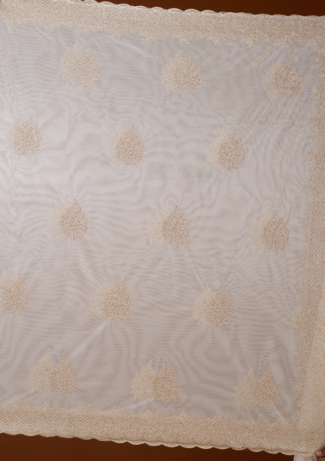 Off White Stonework (Gold) Tissue Saree