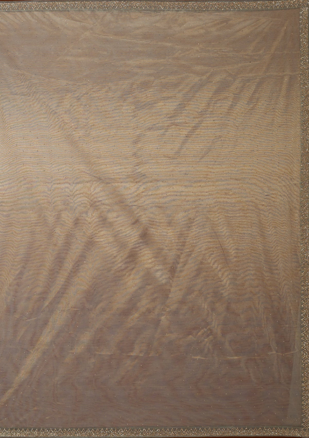 Pista Green Stonework (Gold) Tissue Saree