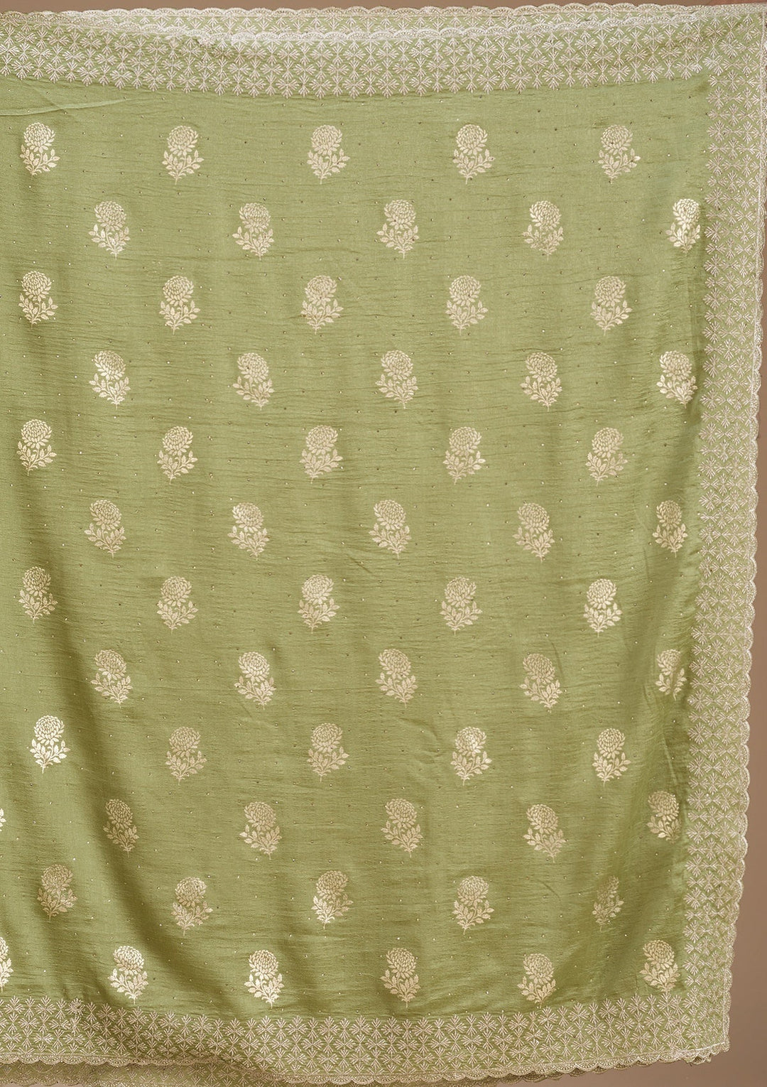 Pista Green Zariwork (Gold) Soft Raw Silk Saree