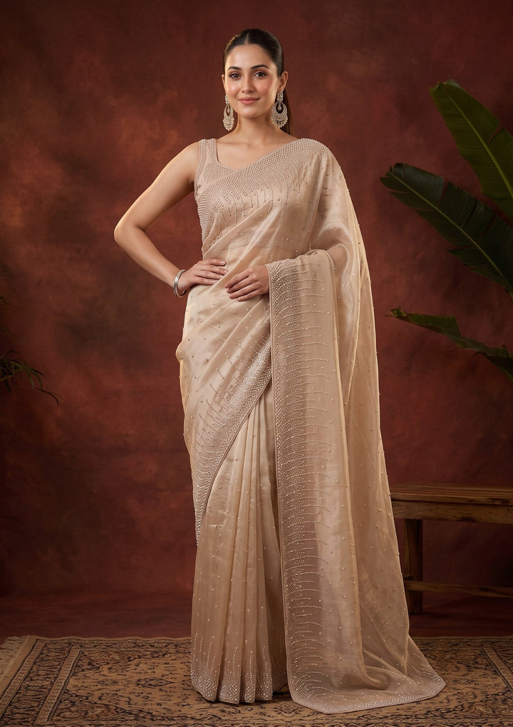 Beige Sequins Tissue Saree