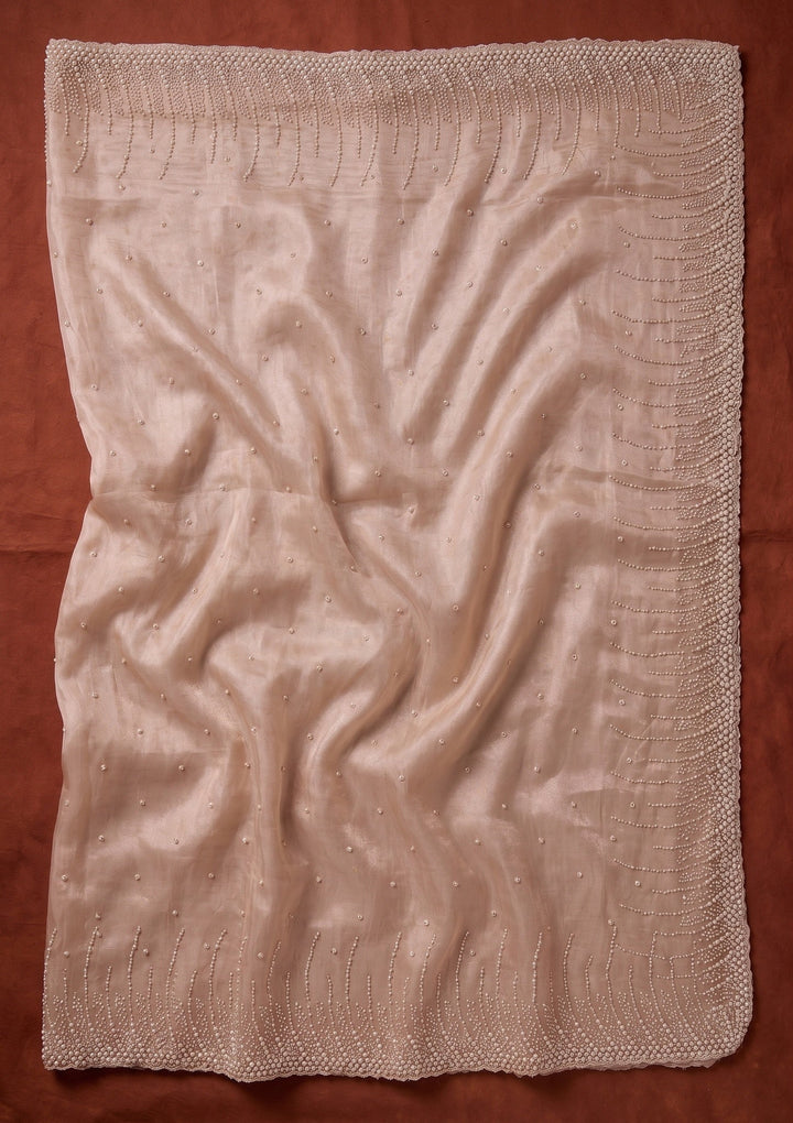 Beige Sequins Tissue Saree