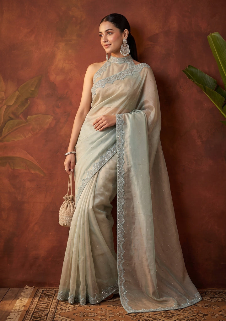 Blue Cutdana Tissue Saree