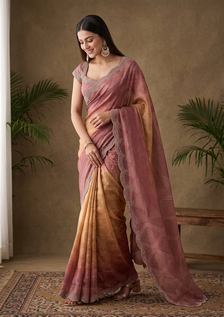 Brown Stonework (Gold) Organza Saree