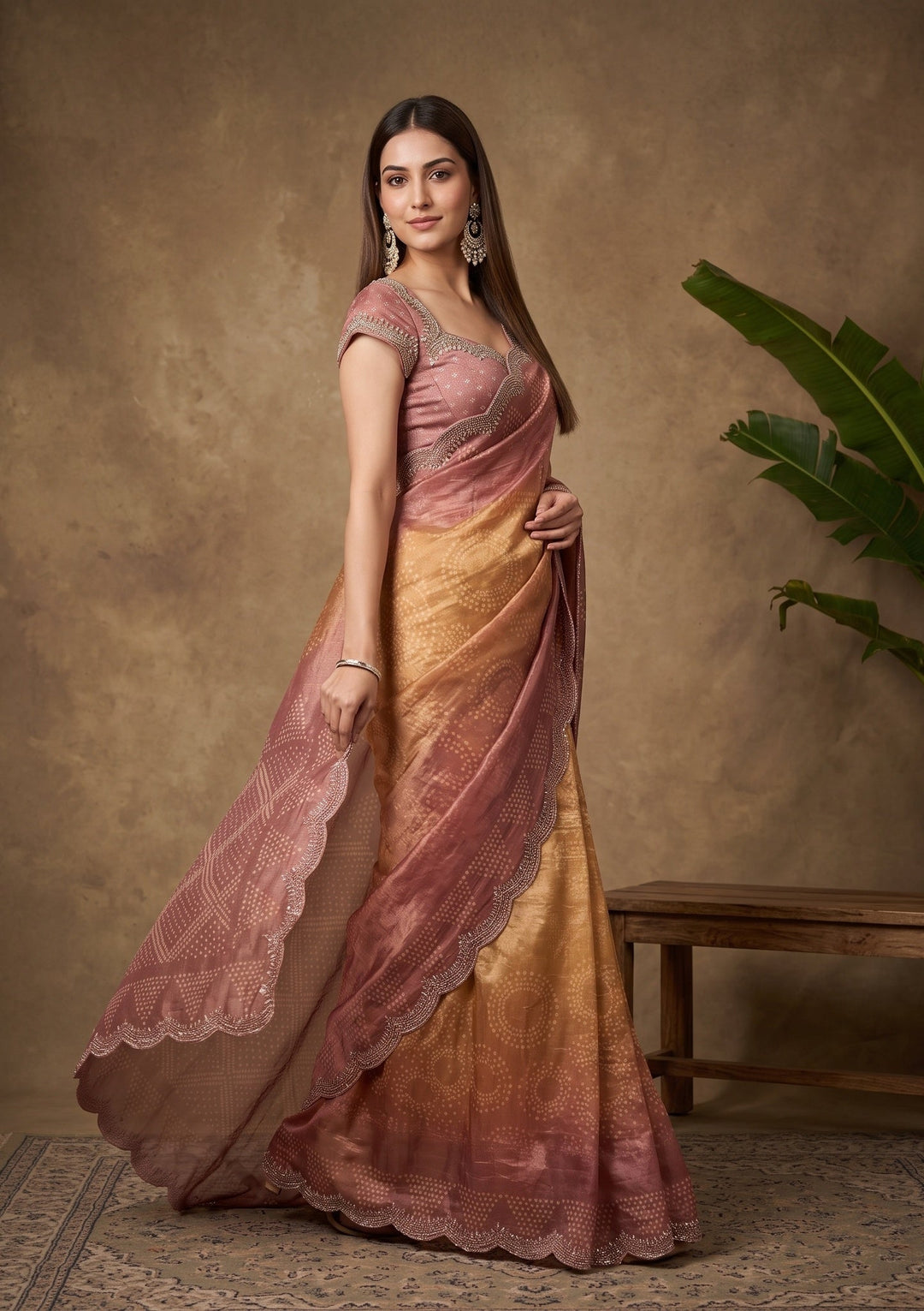 Brown Stonework (Gold) Organza Saree