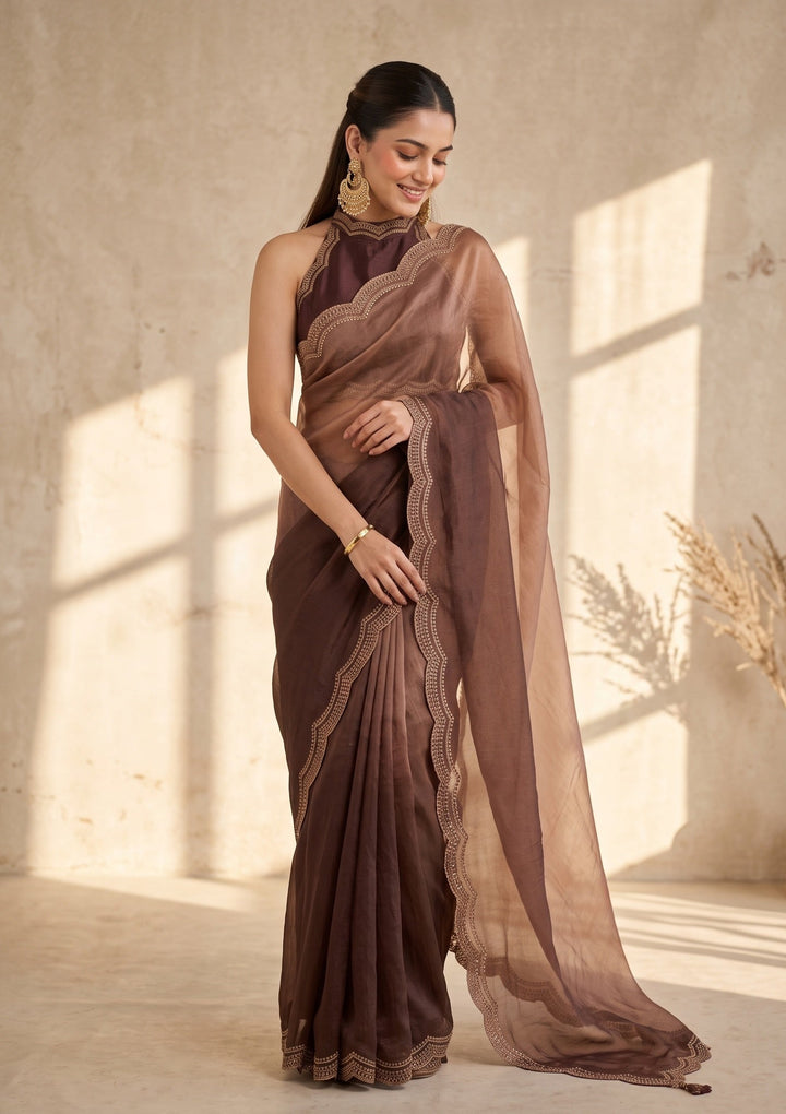 Brown Stonework (Gold) Tissue Saree