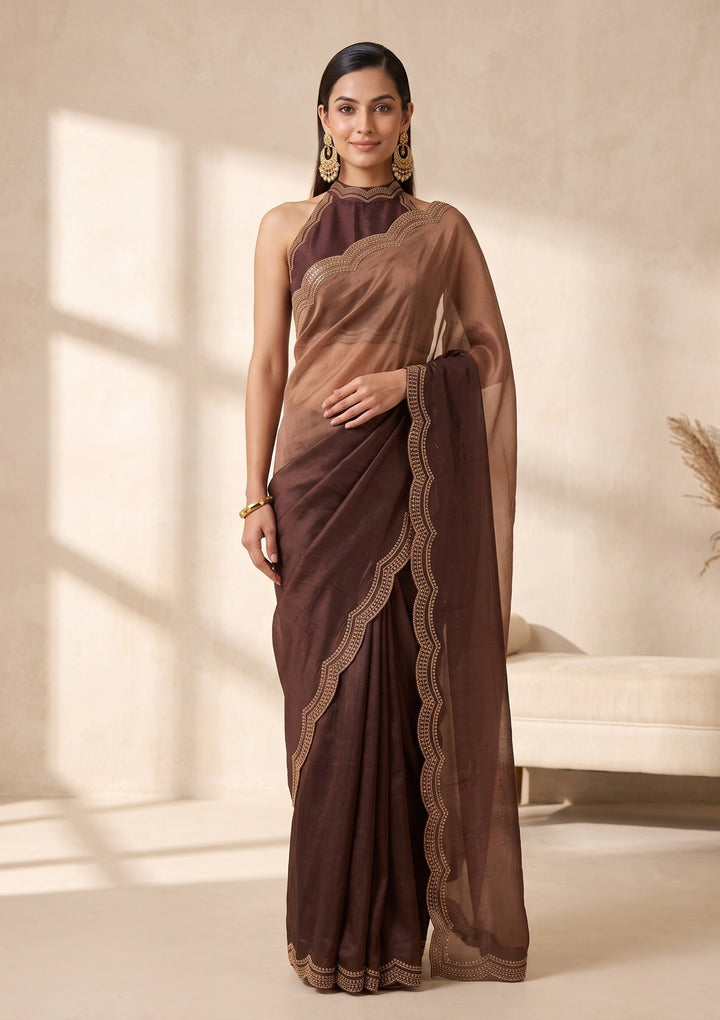 Brown Stonework (Gold) Tissue Saree