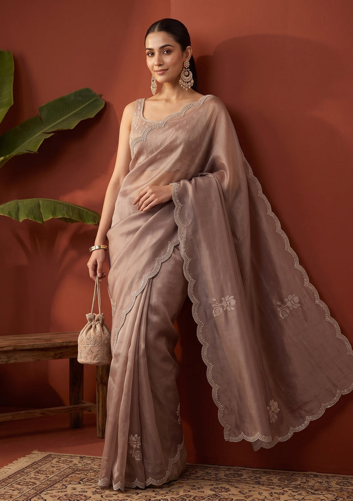 Brown Stonework (Gold) Tissue Saree