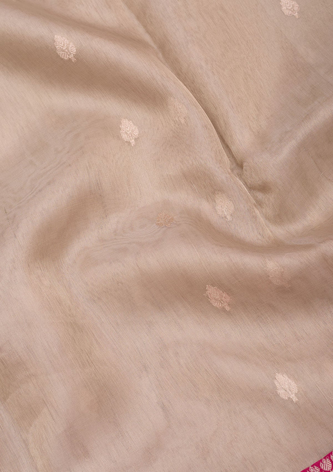 Beige Zariwork Tissue Silk Saree