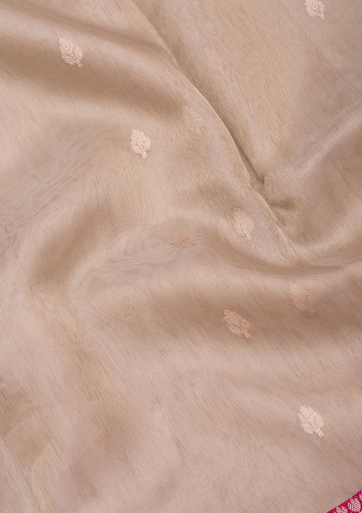 Beige Zariwork Tissue Silk Saree