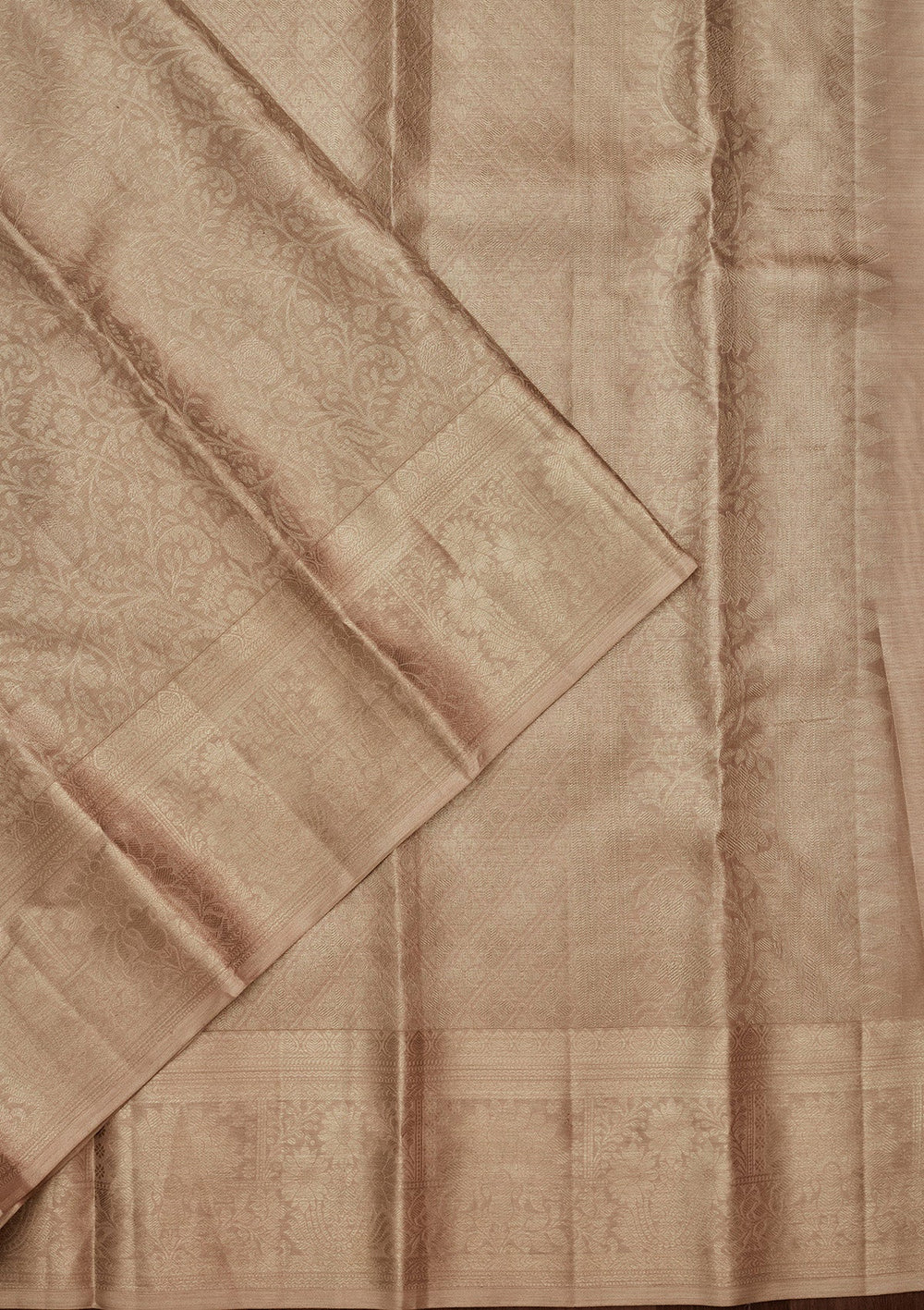 Light Grey Zariwork Tissue Silk Saree-Koskii