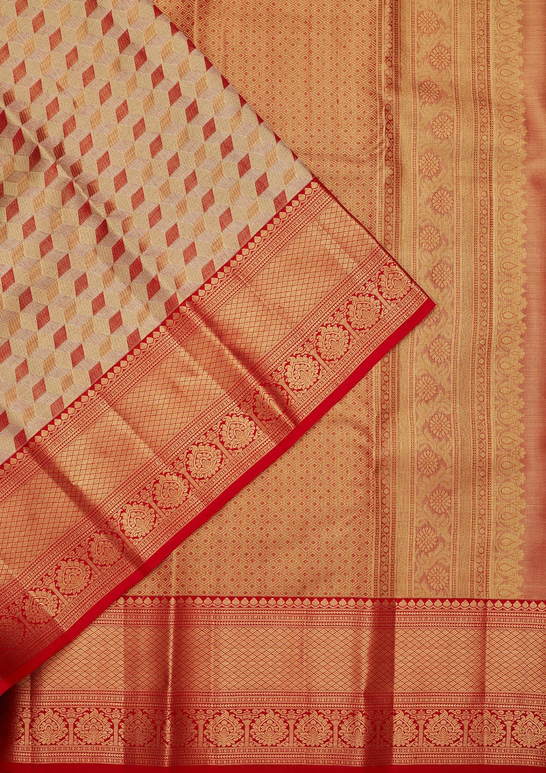 Multi Zariwork Tissue Silk Saree-Koskii