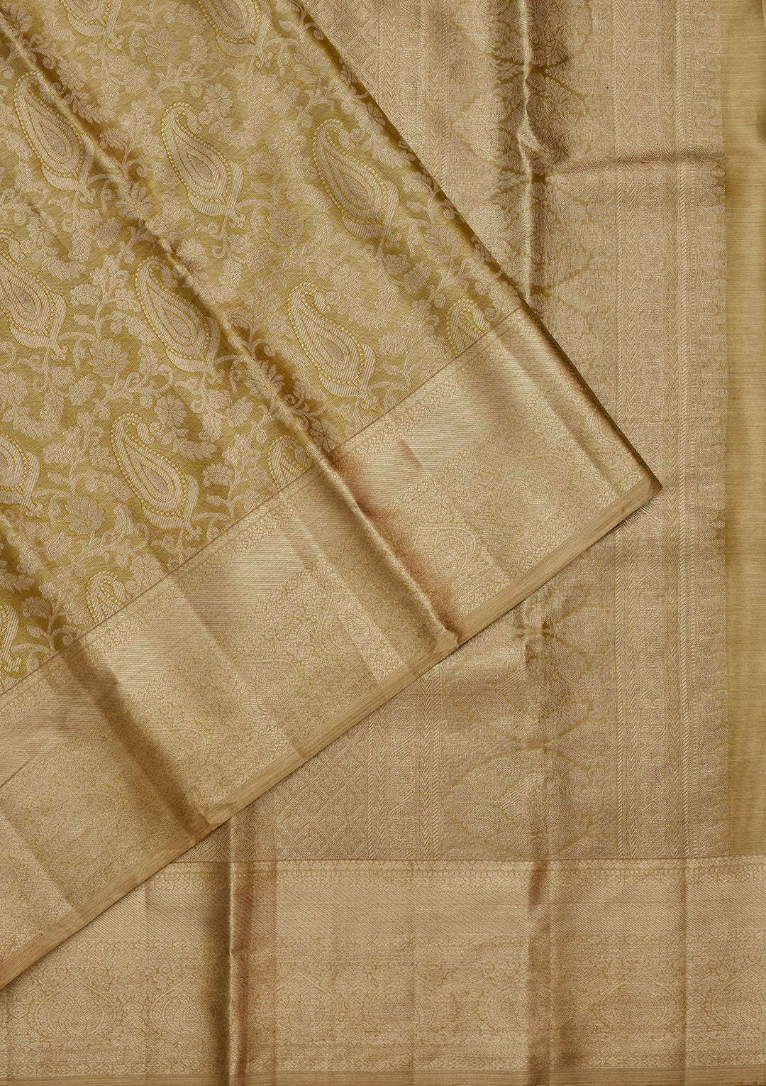 Pista Green Zariwork Tissue Silk Saree-Koskii