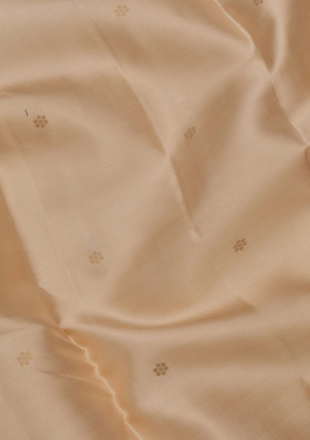 Beige Zariwork Pure Silk Saree