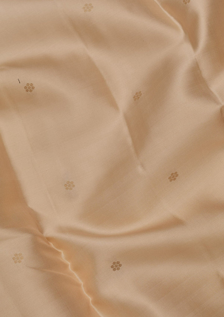 Beige Zariwork Pure Silk Saree
