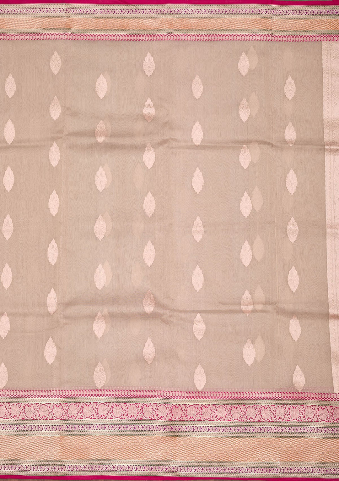 Beige Zariwork Tissue Silk Saree