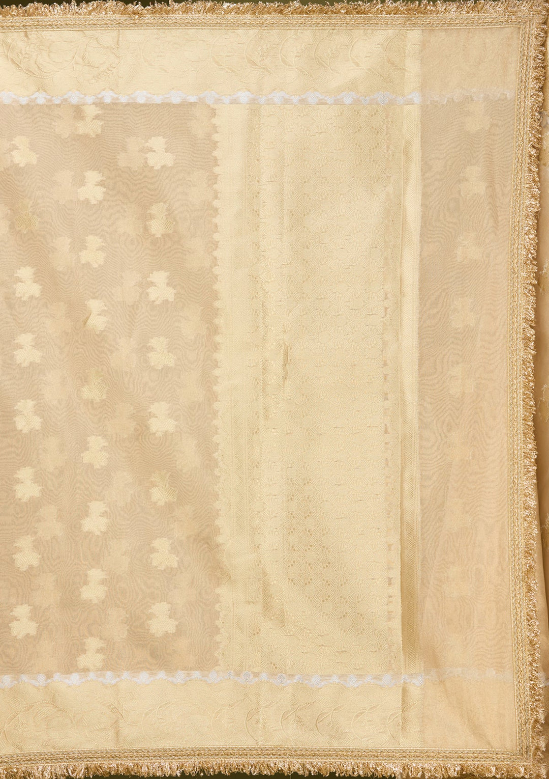 Beige Zariwork (Gold) Tissue Silk Saree