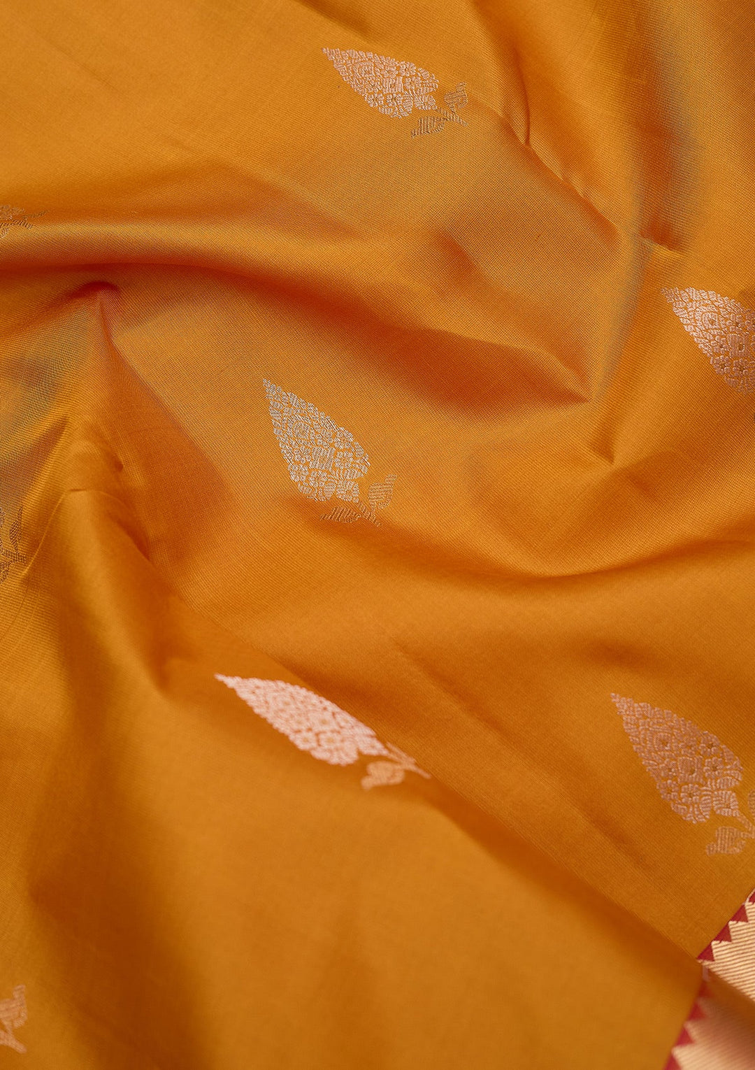 Mustard Zariwork (Gold) Pure Silk Silk_Saree