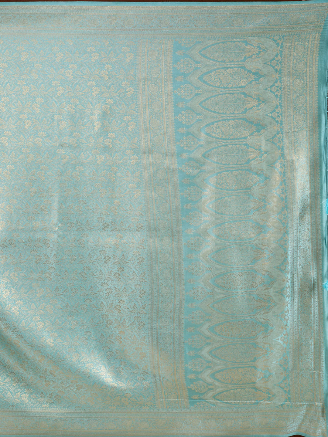 Sky Blue Silk Jaal Saree With Matching Blouse Piece
