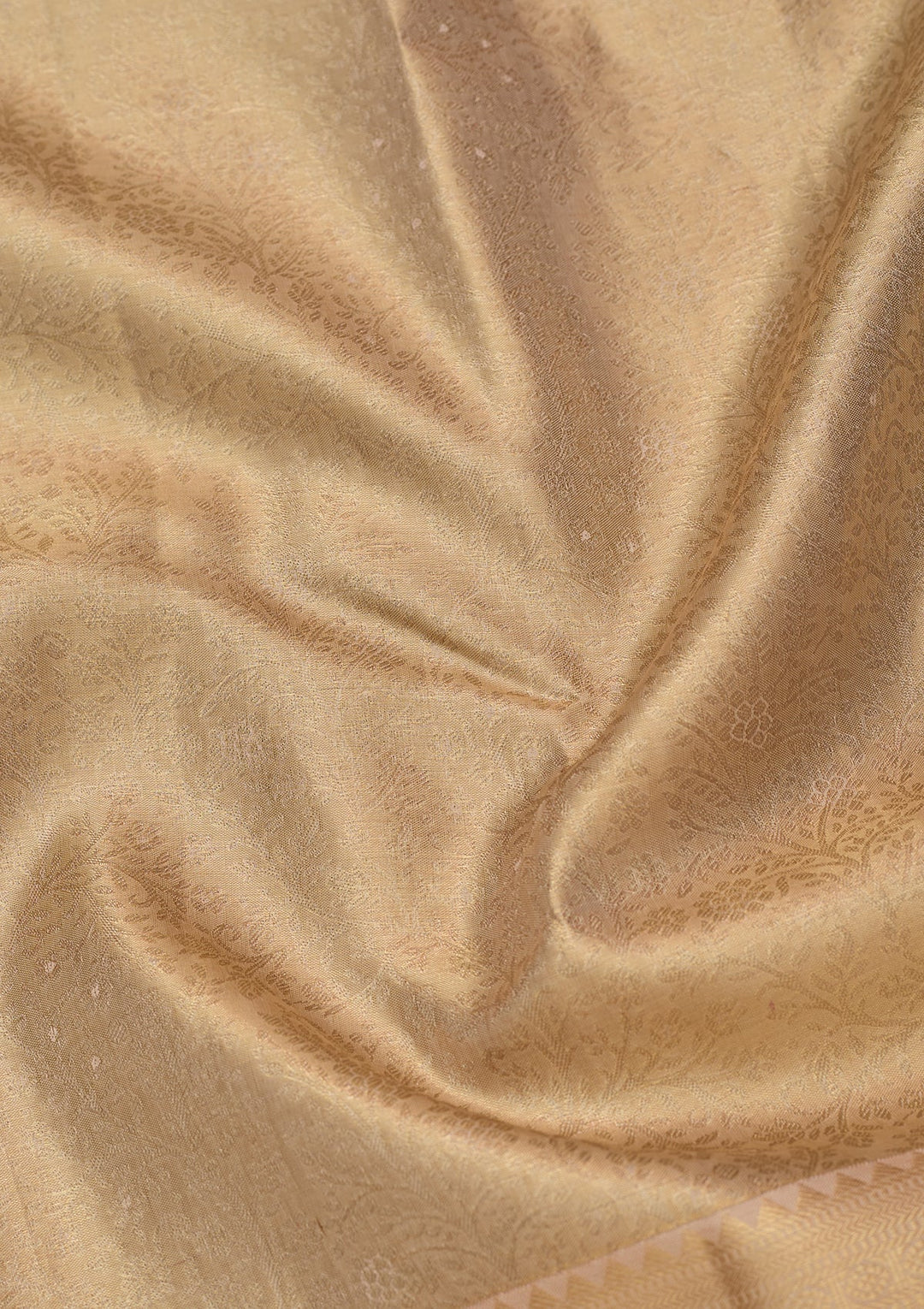 Beige Dharmavaram Pure Silk Saree