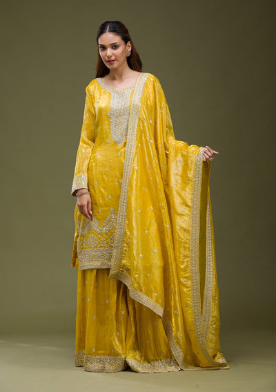 Brown Stonework Chiffon Saree-koskii