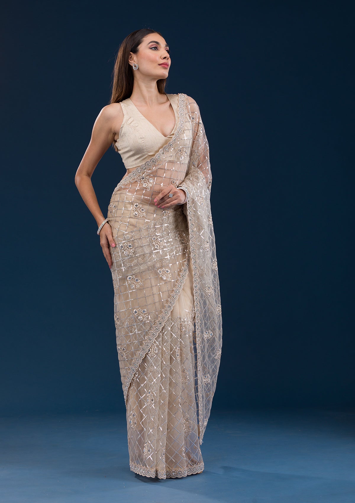 Beige Sequins Net Saree-Koskii