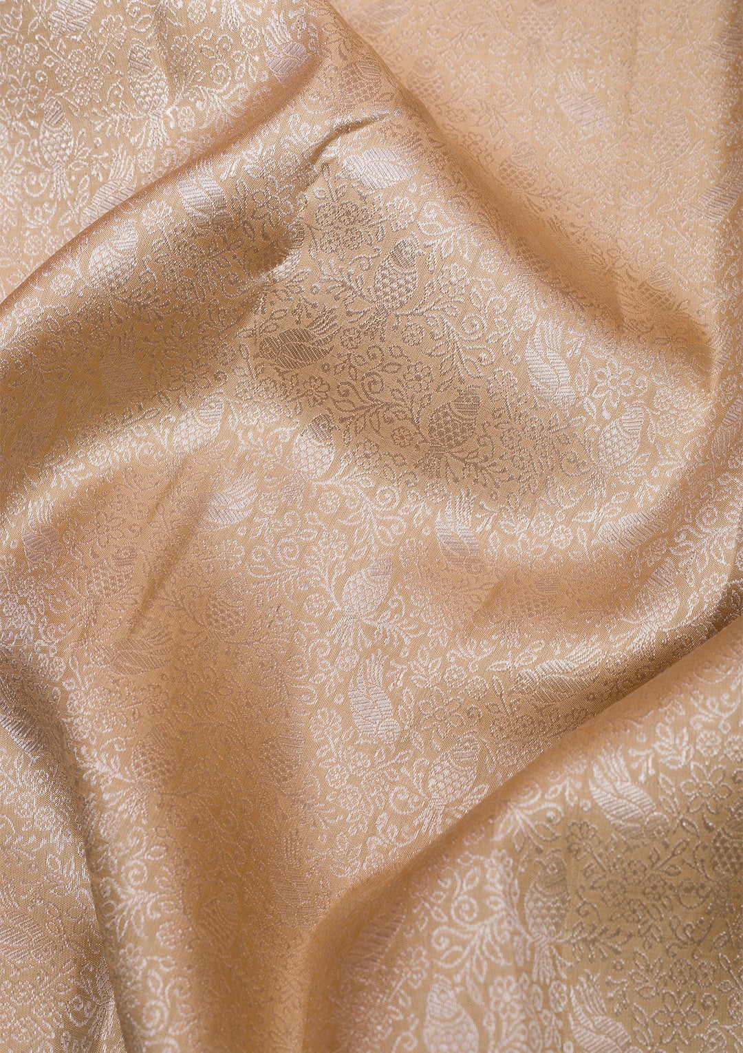 Beige Silver Zariwork Pure Silk Saree-Koskii