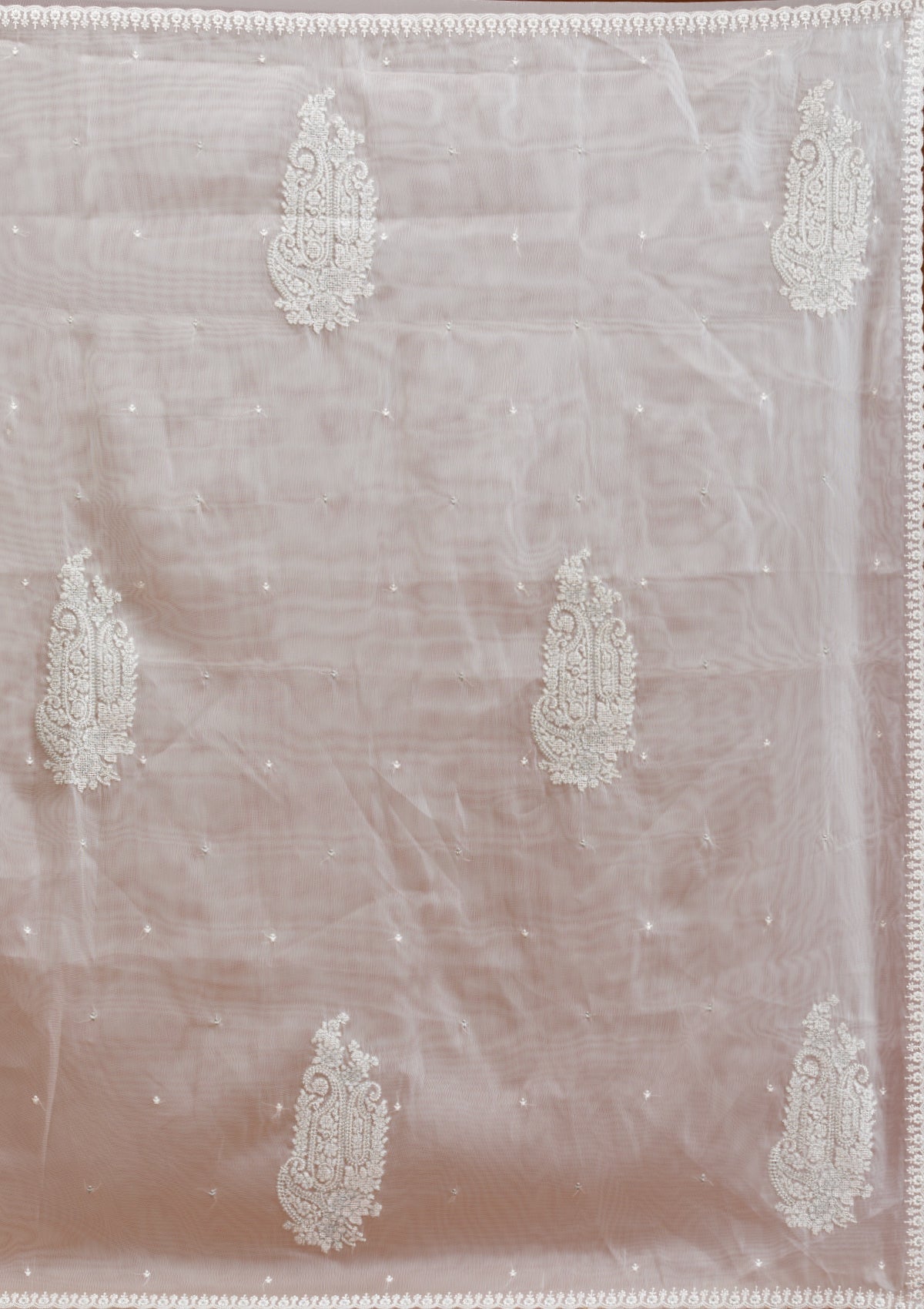 Beige Silver Zariwork Tissue Saree-Koskii