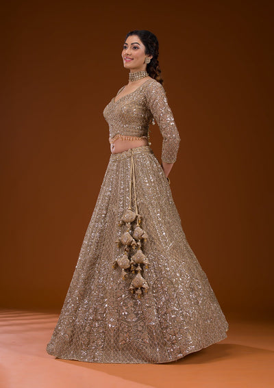 Beige Stonework Net Readymade Lehenga-Koskii