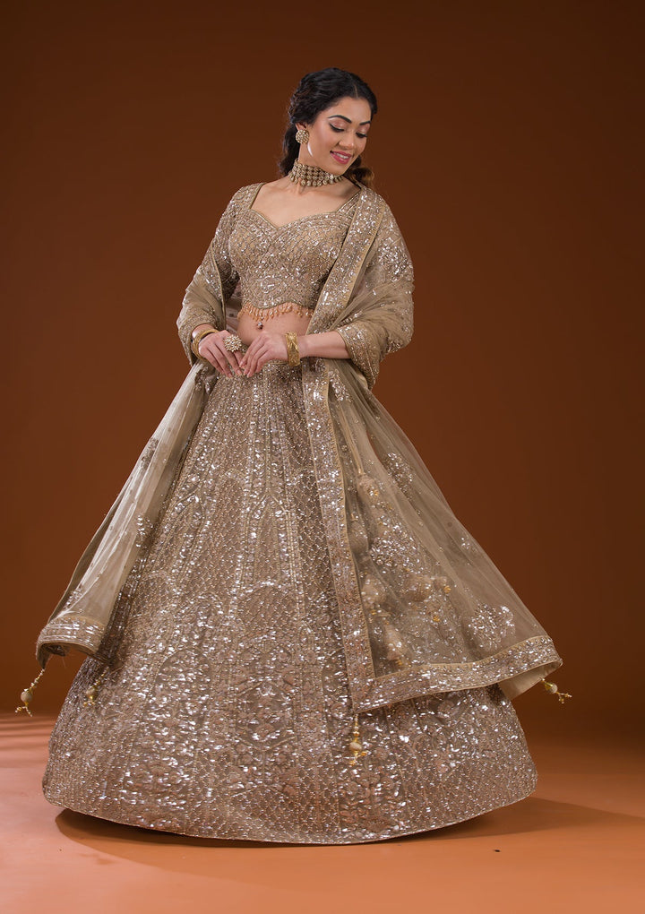 Beige Stonework Net Readymade Lehenga-Koskii