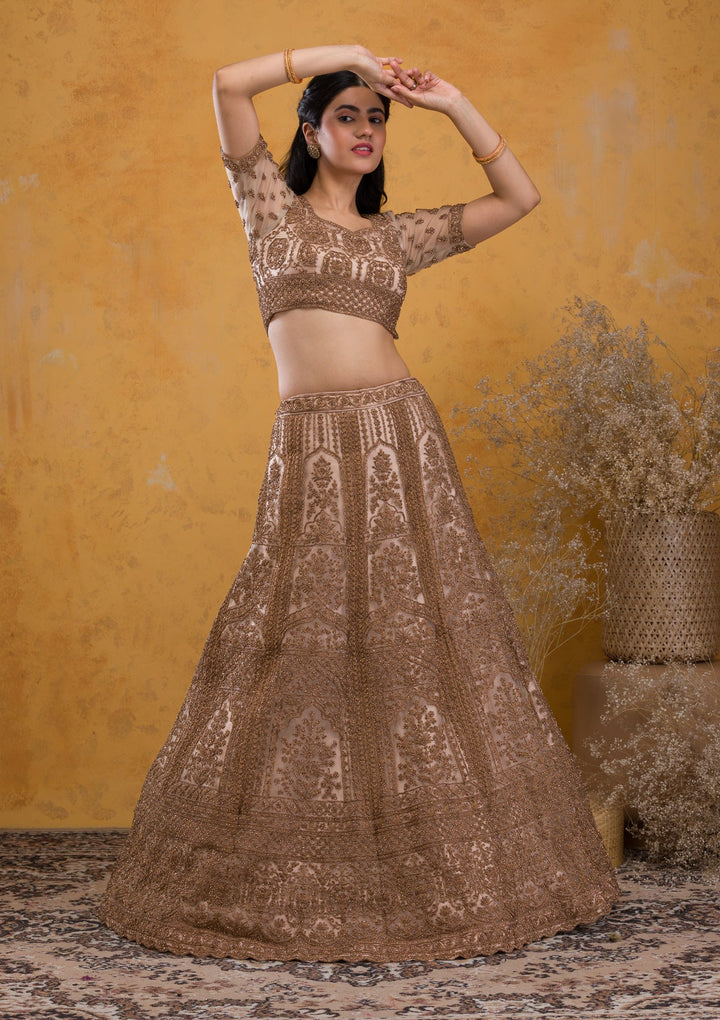 Beige Stonework Net Readymade Lehenga-Koskii