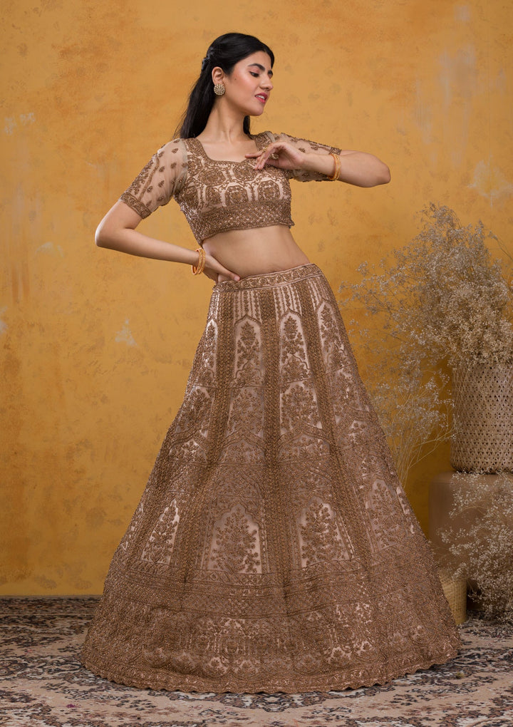 Beige Stonework Net Readymade Lehenga-Koskii