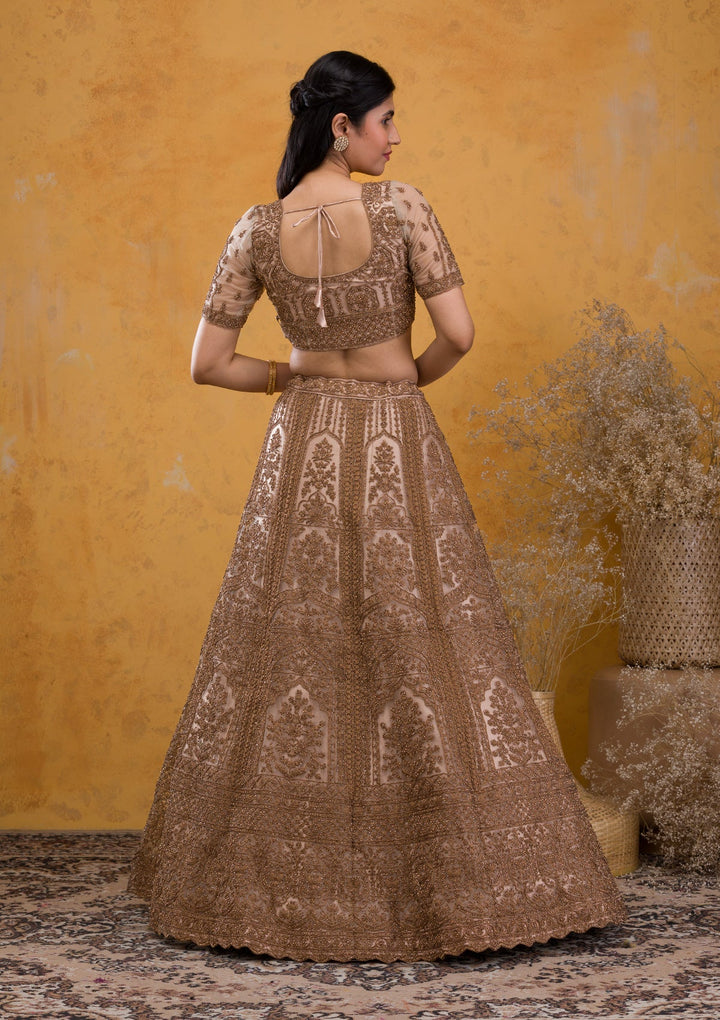 Beige Stonework Net Readymade Lehenga-Koskii