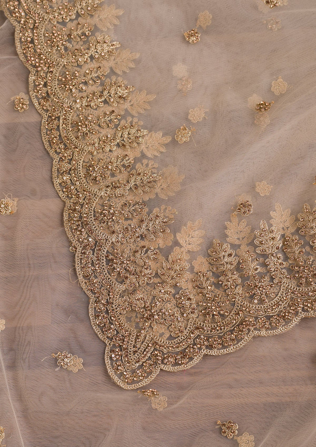 Beige Zariwork Net Dupatta-Koskii