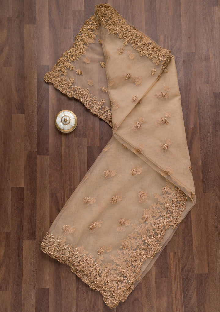 Beige Zariwork Net Dupatta-Koskii